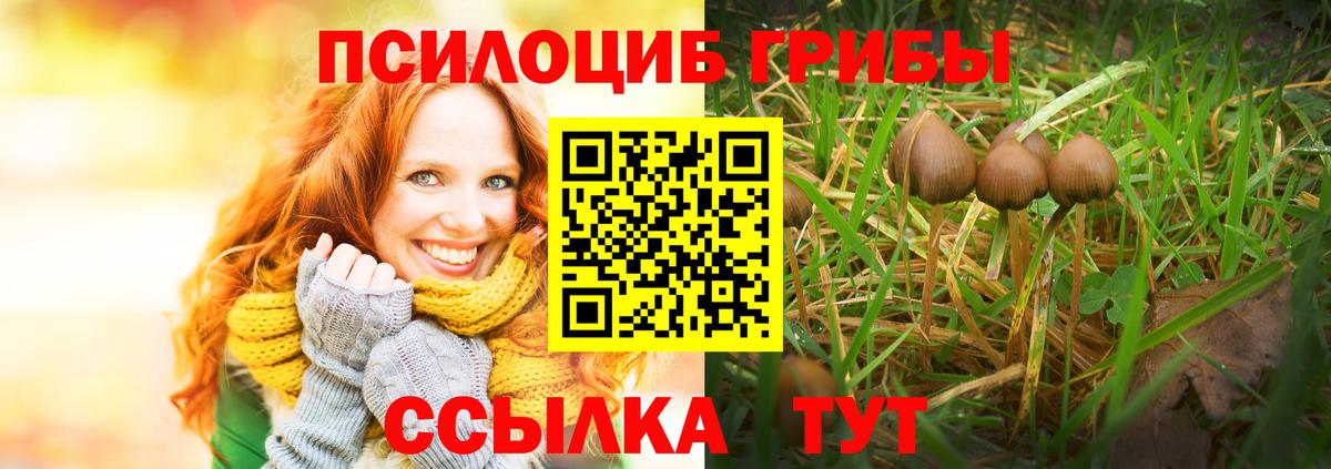 Сорочинск  Галлюциногенные грибы ЛСД  Вход с VPN 